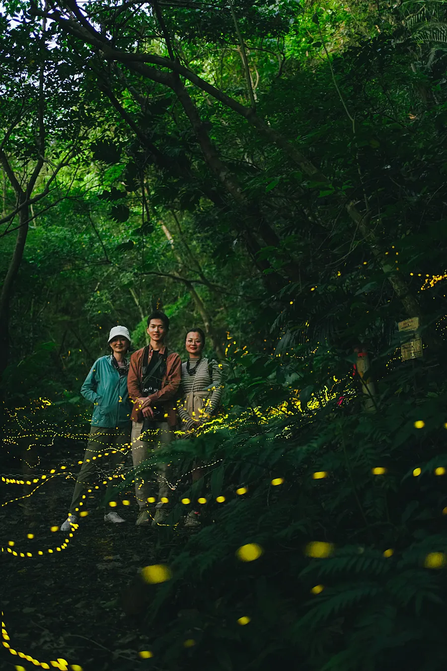 ツアーの様子:奥深いジャングルの中、ホタルが彩る神秘的な空間をお楽しみいただきます
