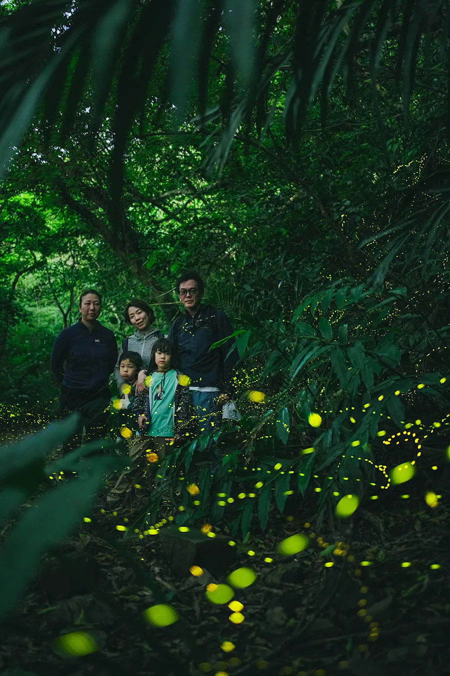 ツアーの様子:感動の体験が家族とのかけがえのない思い出として残るヤエヤマホタルツアー